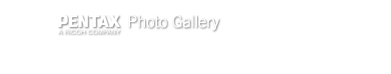 Pentax Gallery logo